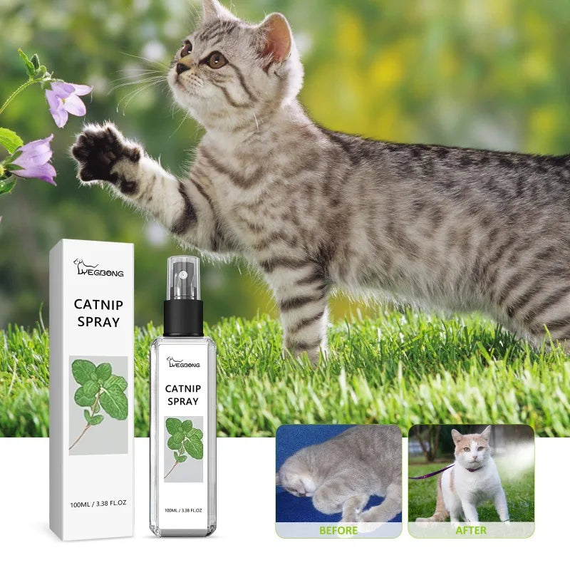DaSilo's Natural Catnip Spray
