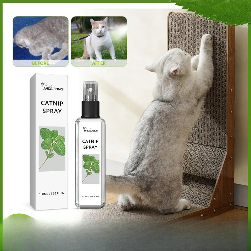 DaSilo's Natural Catnip Spray